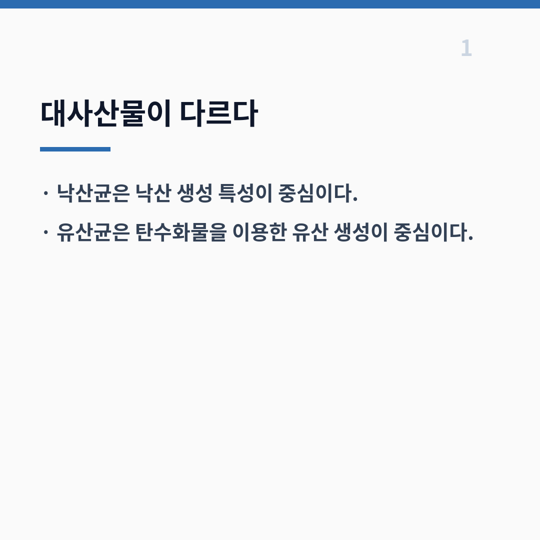낙산균 유산균 핵심 차이 카드뉴스 2장