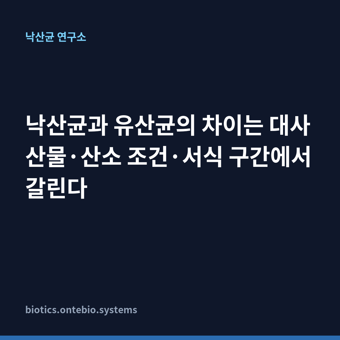 낙산균과 유산균의 차이는 대사 산물·산소 조건·서식 구간에서 갈린다 카드뉴스 1장