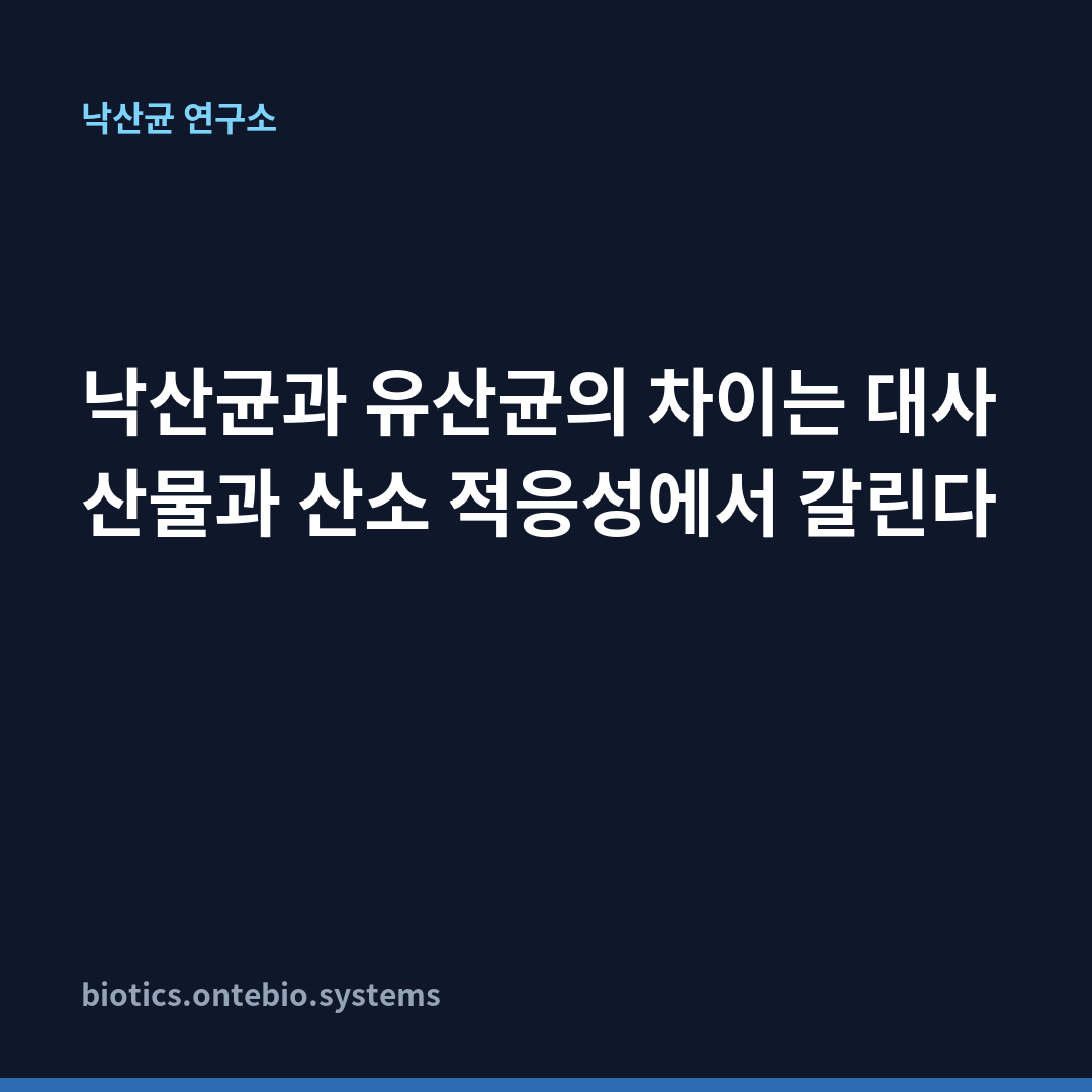 낙산균과 유산균의 차이는 대사 산물과 산소 적응성에서 갈린다 카드뉴스 1장